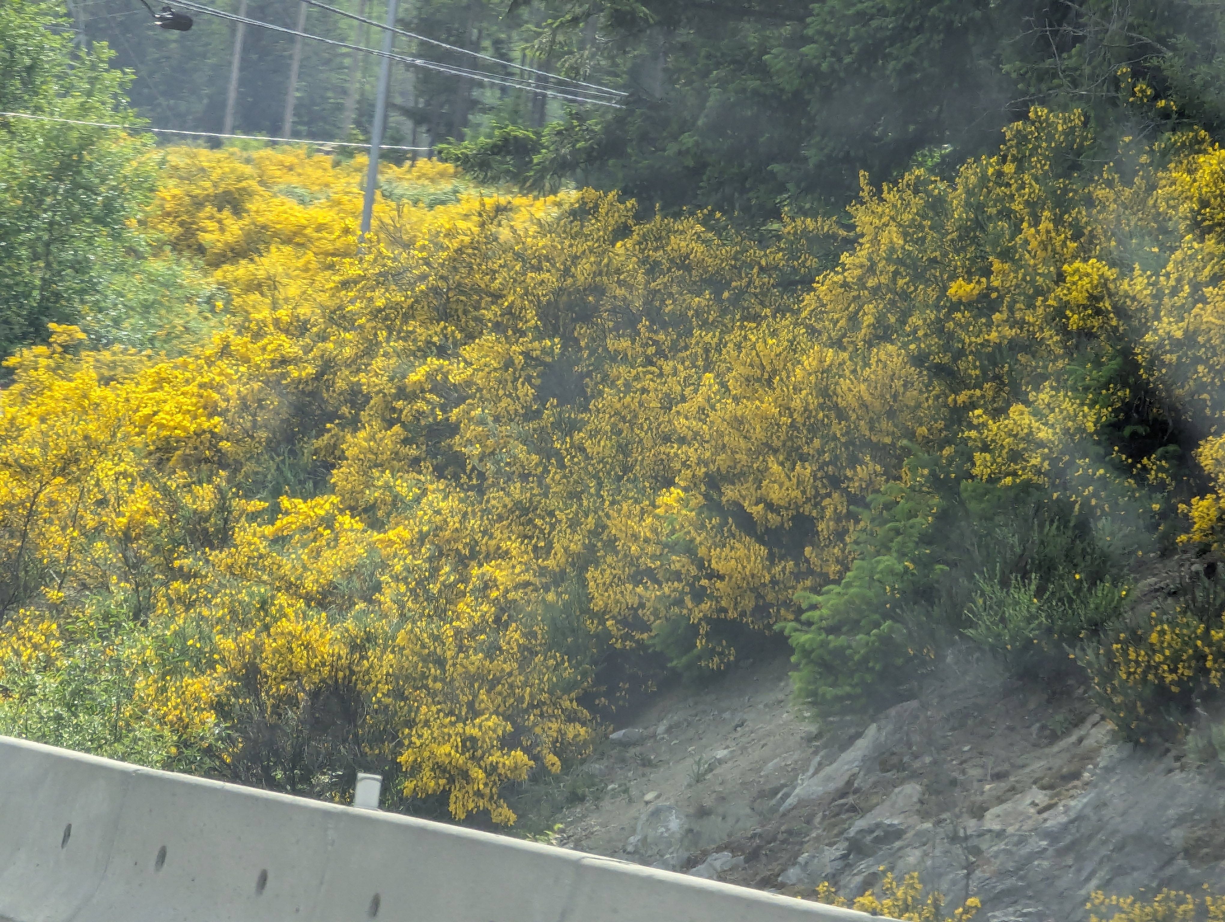 Birthday Trip to Canada, Vancouver Island